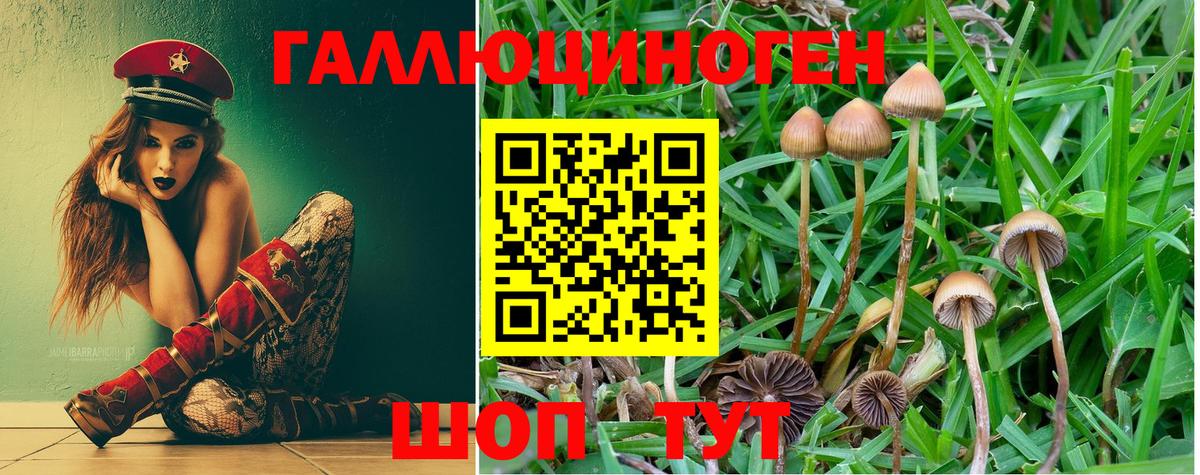 сколько стоит  Галлюциногенные грибы Psilocybe  Вход с VPN  Комсомольск-на-Амуре 